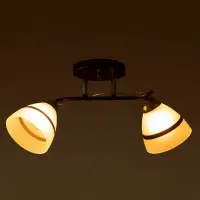 Люстра потолочная BayerLux &laquo;Лайма&raquo;, 2хЕ27, 40 Вт, черно-хромовый, 50&times;15&times;24 см