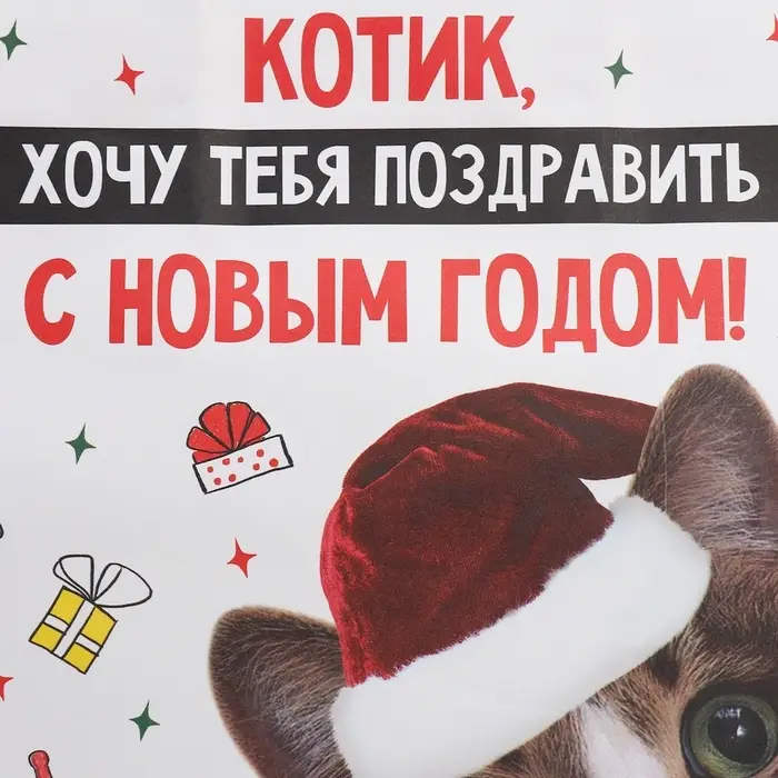 Пакет подарочный новогодний крафтовый &laquo;Котик&raquo;, 22&times;22&times;11 см