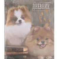Дневник школьный для 1-11 классов, &laquo;Шпиц&raquo;, твёрдая обложка 7БЦ, глянцевая ламинация, 40 листов