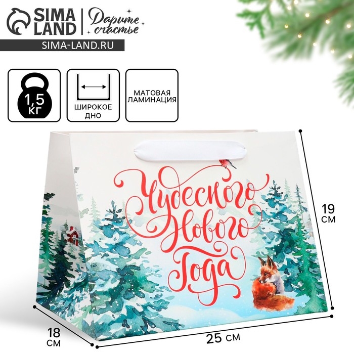 Пакет подарочный новогодний с широким дном «Новогодние чудеса», 25 х 19 х 18 см, Новый год Пакет подарочный новогодний с широким дном «Новогодние чудеса», 25 х 19 х 18 см, Новый год