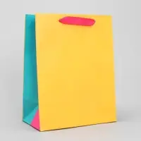 Пакет подарочный трёхцветный, упаковка, &laquo;Жёлтый-розовый-голубой&raquo;, MS 18 х 23 х 10 см