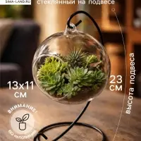 Флорариум &laquo;Сфера&raquo;, на подвесе, d отверстия 6 см, 23&times;13&times;11 см