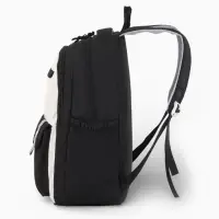 Рюкзак школьный, с пеналом, 2 отделения, 3 кармана, 31&times;14&times;44 см, чёрный