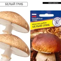 Мицелий грибов Белый гриб, 60 мл, &laquo;Престиж семена&raquo;