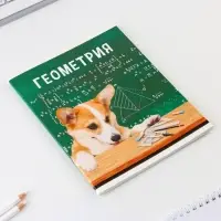 Тетрадь в клетку, предметная, 48 л.,на скрепке, А5 «МИЛЫЕ ПИТОМЦЫ. Геометрия»