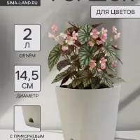 Горшок для цветов &laquo;Гранд&raquo;, 2 л, d=14.5 см, h=15 см, пластиковый, с прикорневым поливом, серый