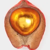 Чаша из кокоса, 24&times;22&times;10 см, красно-золотая