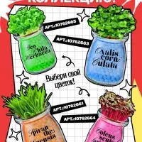 Набор для опытов &laquo;Выращиваем травку&raquo; своими руками, красный