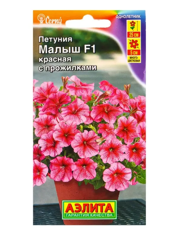 Семена цветов Петуния мини Малыш F1 красная с прожилками многоцветковая (драже) С. Cerny, Ц/П,7 шт. Семена цветов Петуния мини Малыш F1 красная с прожилками многоцветковая (драже) С. Cerny, Ц/П,7 шт.