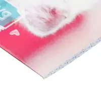 Набор блокнотов А6 24л кл на скобе Котята, мел карт, 4В 20шт