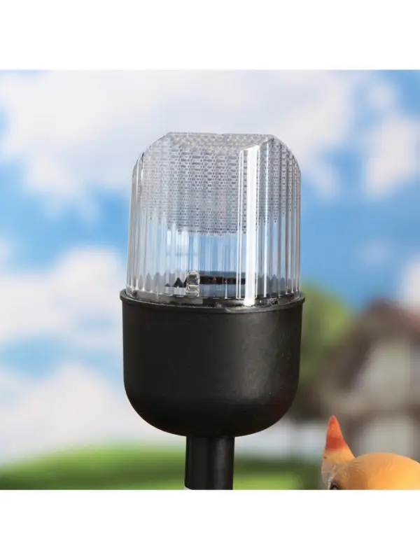 Садовая фигура - фонарь из полистоуна &laquo;Белка с орешком&raquo;, 24&times;16&times;24 см