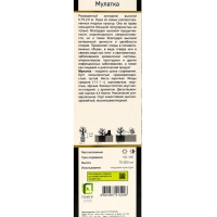 Смородина черная «Мулатка », перспективные сорта, саженец, плодовый, 1 шт., туба