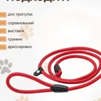 Ринговка для собак, 130&times;0.8 см, красная