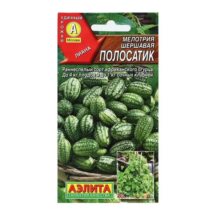 Семена Мелотрия (Мышиная дыня)  Семена Мелотрия (Мышиная дыня) "Полосатик", 0,03 г