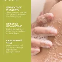 Гель для душа, витаминное увлажнение, аромат облепихи, 250 мл, Рябина