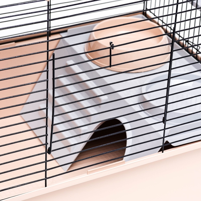 Клетка для шиншиллы Клетка для шиншиллы "Пижон" №19, разборная, 58 х 40 х 49, бежевая