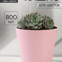 Кашпо для цветов &laquo;Цвет&raquo;, 800 мл, d=12 см, h=11 см, пластиковое