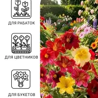 Семена цветов Сальпиглоссис &laquo;Смесь&raquo;, 0.1 г, &laquo;УРОЖАЙ УДАЧИ&raquo;
