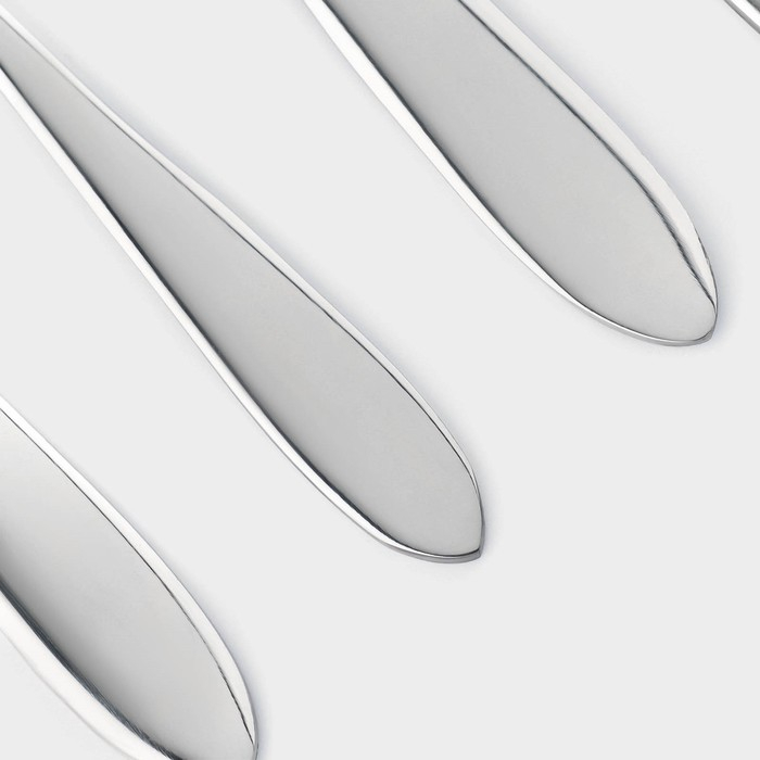 Столовые приборы из нержавеющей стали «Стандарт», картонная коробка, толщина 2 мм, 36 предметов, цвет серебряный Столовые приборы из нержавеющей стали «Стандарт», картонная коробка, толщина 2 мм, 36 предметов, цвет серебряный