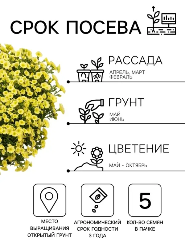 Семена цветов Петуния &laquo;Пикколино&raquo; F1, лайм, 5 шт., Farao, &laquo;АЭЛИТА&raquo;