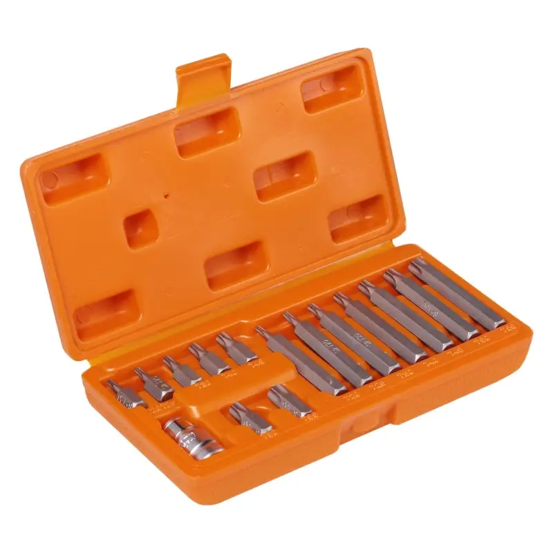Набор бит вставок TORX 3/8" 30мм и 75мм с держателем бит 1/2"DR 15 пр. в кейсе