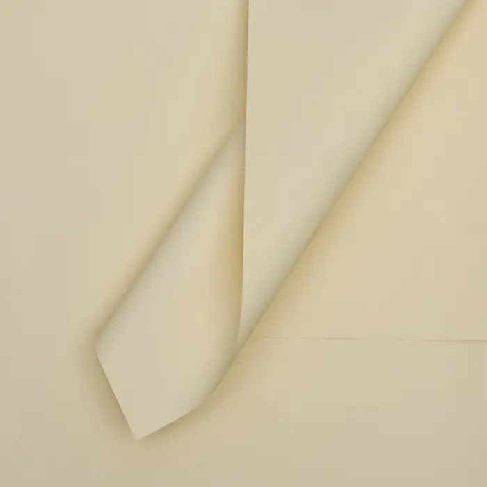 Пленка для цветов тонированная, матовая, шампань, 57×57 см ±5% см, 65 мкм Пленка для цветов тонированная, матовая, шампань, 57×57 см ±5% см, 65 мкм