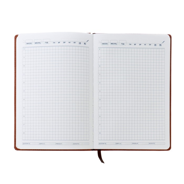 Ежедневник недатированный А5, 120 листов в клетку, с хлястиком, обложка кожзам, МИКС Ежедневник недатированный А5, 120 листов в клетку, с хлястиком, обложка кожзам, МИКС