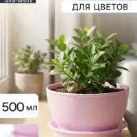 Горшок для цветов &laquo;Фиалочка&raquo;, 500 мл, d=12.5 см, h=7 см, пластиковый, сиреневый