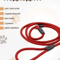 Ринговка для собак, 130&times;1 см, красная