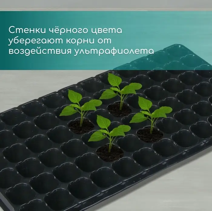 Кассета для рассады, на 72 ячейки, по 50 мл, из пластика, чёрная, 54×28×4 см, Greengo