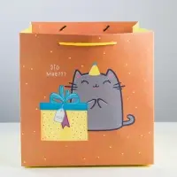 Пакет подарочный квадратный, упаковка, &laquo;Котик и тортик&raquo;, 30&times;30&times;30 см