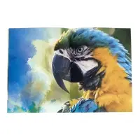 Энциклопедия 4D в дополненной реальности &laquo;Знакомство с животными&raquo;