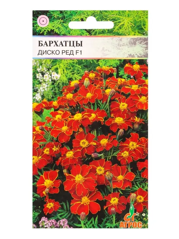Семена Бархатцы Диско Ред 15 шт Семена Бархатцы Диско Ред 15 шт