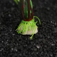 Набор растений искусственных для аквариума, 20 см, 2 шт.