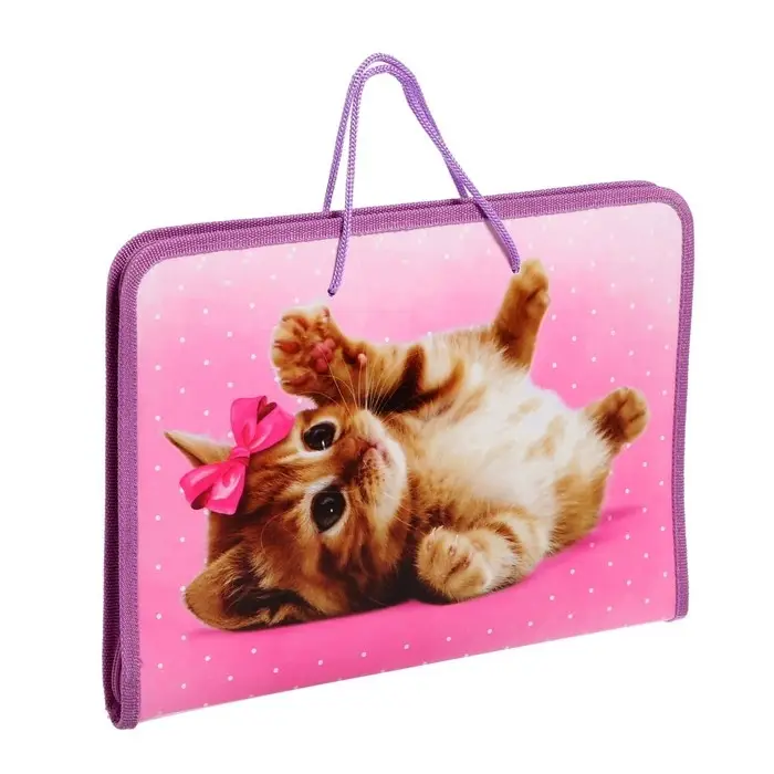 Папка для труда, А4, пластиковая, 32.5&times;23&times;2.5 см &laquo;Самая милая&raquo;