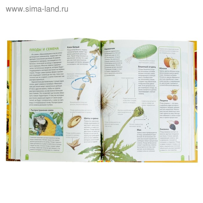 Большая энциклопедия школьника «Как это работает?» Большая энциклопедия школьника «Как это работает?»