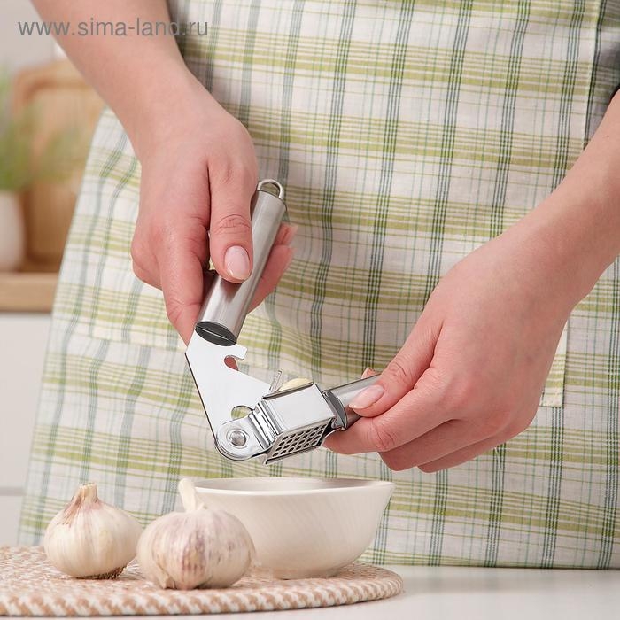 Пресс для чеснока Доляна «Металлик», 19,5 см, цвет серебряный Пресс для чеснока Доляна «Металлик», 19,5 см, цвет серебряный