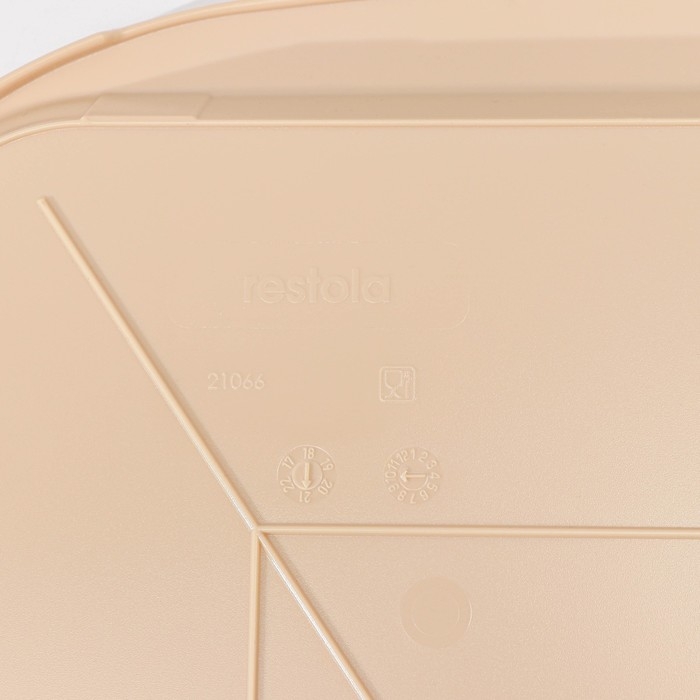 Поднос, 49,5×35 см, цвет бежевый Поднос, 49,5×35 см, цвет бежевый