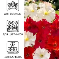 Семена цветов Петуния &laquo;Афродита&raquo; F1, крупноцветковая, смесь, драже, С. Cerny, 7 шт.