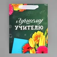 Пакет подарочный ламинированный, упаковка, «Лучшему Учителю», MS 18 х 23 х 10 см