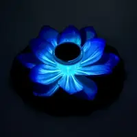 Садовый светильник для водоемов 28 х 28 х 9 см на солнечной бат-е "Лотос" фиол-ый N010