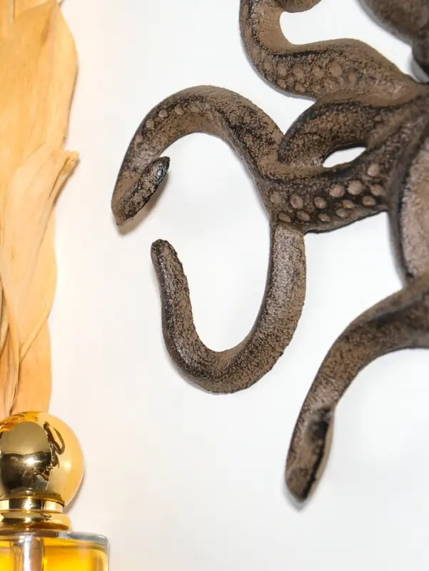 Крючки настенные &laquo;Осьминог&raquo;, ключница декоративная, чугун, 24.8&times;18.4&times;2.6 см