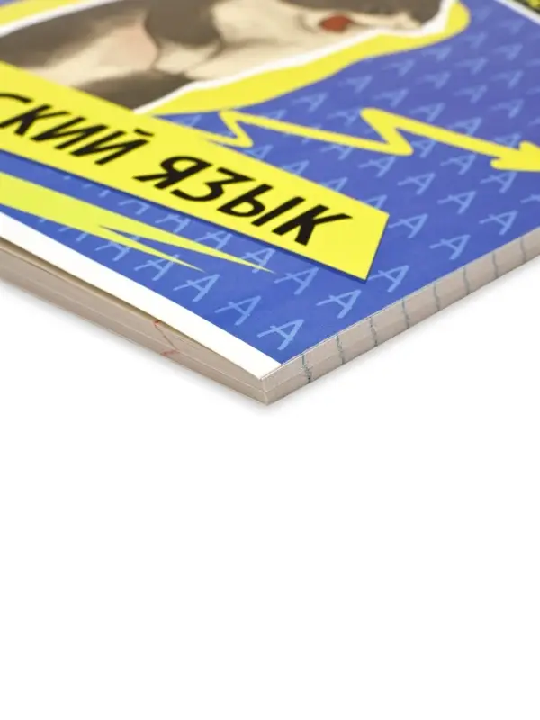 Тетрадь в линейку, предметная, 48 л.,на скрепке, А5 &laquo;Мемы. Русский язык&raquo;