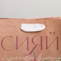Пакет подарочный крафтовый, упаковка, &laquo;Сияй&raquo;, MS 18&times;23&times;8 см