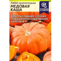 Семена Тыква &laquo;Медовая Каша&raquo;, раннеспелая, 1 г