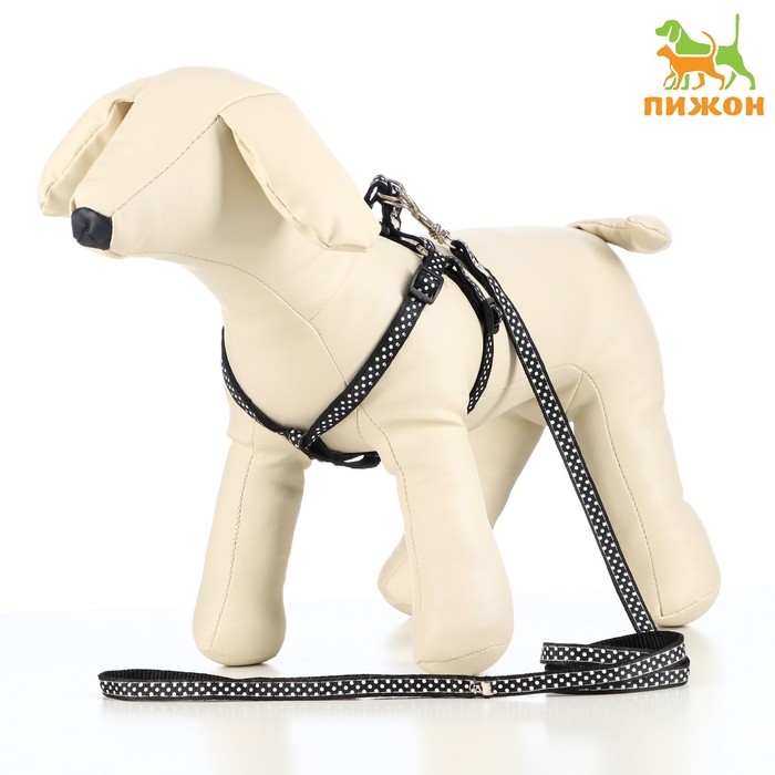 Комплект амуниции Комплект амуниции "Горошек", ширина 1 см, шлейка 27-42 см, поводок 120 см, чёрный