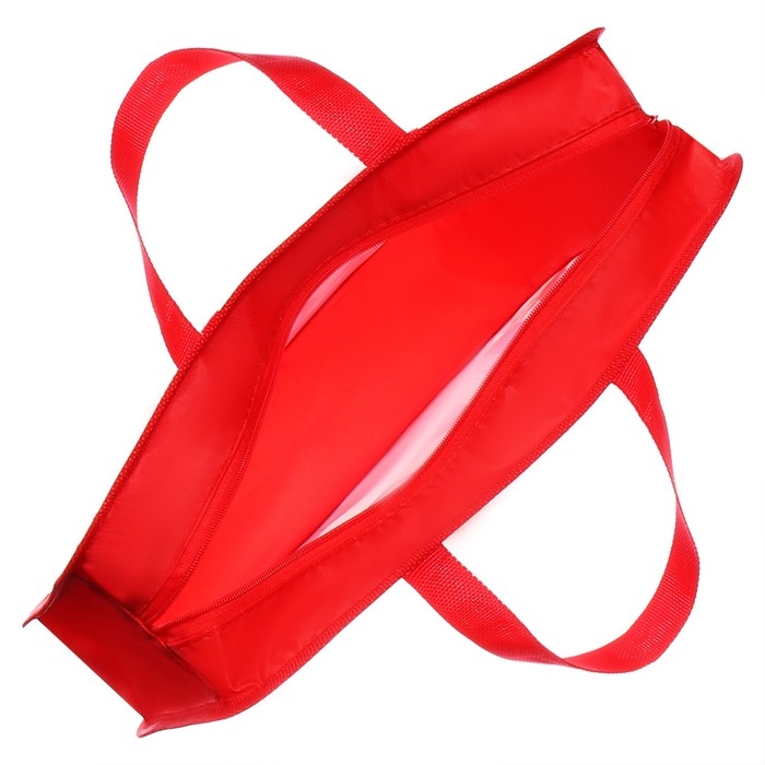 Папка с ручками пластиковая А4 Calligrata  Папка с ручками пластиковая А4 Calligrata "Машина серая", 32,2х25,6х7 см,