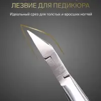 Кусачки педикюрные &laquo;Премиум&raquo;, скрытая пружина, прорезиненные ручки, 12.3 см, длина лезвия-13 мм, серые, серебристые