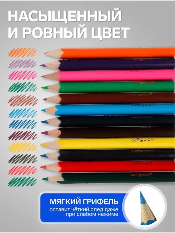 Карандаши Calligrata цветные, 12 цветов, деревянные, трёхгранные, мини