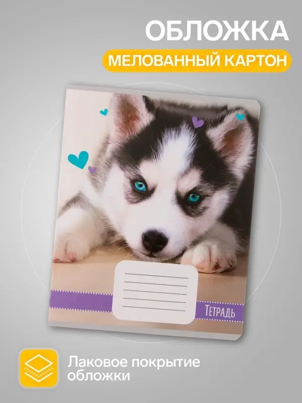 Комплект тетрадей из 10 штук, 18 листов в линию Calligrata "Домашние животные", обложка мелованный картон, ВД-лак, блок офсет, 5 видов по 2 штуки